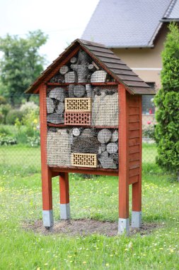 Bahar sezonunda kırsal böcekler için yerleşik ev