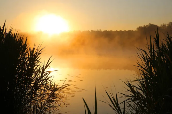 Восход Солнца Над Озером Отражается Поверхности Воды — стоковое фото