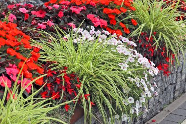 Güzel bahçedeki dekoratif çiçekler boş zamanlarında dinlenmek için kullanılır. .