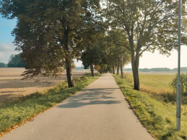 Yaz boyunca bir köy yolu