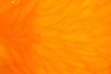 turuncu meyve makro vurdu. portakal aşırı yakın çekim