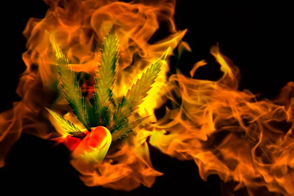 Folha Canábis Marijuana Fogo Conceito Dependência — Fotografia de Stock