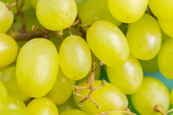 Uvas Color Verde Claro Cerca Vista Desde Arriba — Foto de Stock