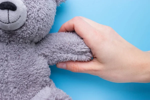 Руки Девушки Держат Плюшевого Медведя Синем Фоне — стоковое фото