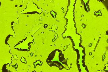 Sarı arka plan üzerinde su damlacıkları. arkadan aydınlatmalı