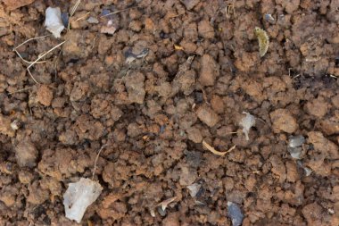 Sıcak güneşin arka plan olarak hafif toprak