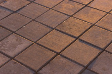 sıcak sarı güneş ışığı altında parke. yakın çekim