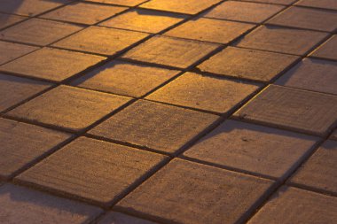 sıcak sarı güneş ışığı altında parke. yakın çekim