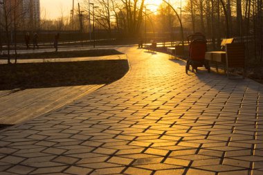 sarı günbatımı ışık bir parkta yol