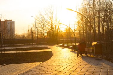 sarı günbatımı ışık bir parkta yol