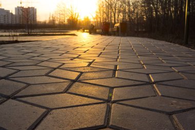 sarı günbatımı ışık bir parkta yol