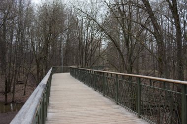 Yol lider içine puslu forrest. Moody park