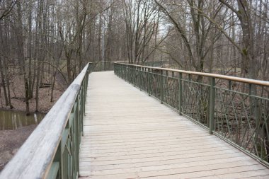 Yol lider içine puslu forrest. Moody park