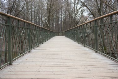 Yol lider içine puslu forrest. Moody park