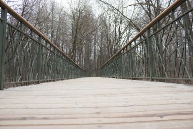 Yol lider içine puslu forrest. Moody park