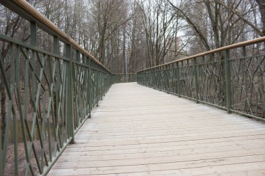 Yol lider içine puslu forrest. Moody park