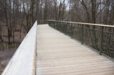 Yol lider içine puslu forrest. Moody park