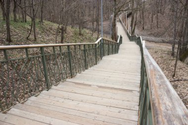 Yol lider içine puslu forrest. Moody park