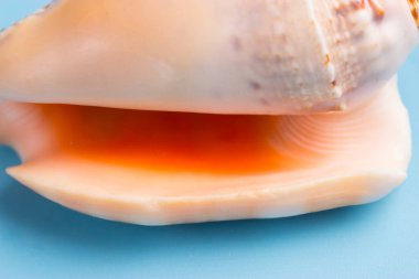 Güzel deniz kıyısı mavi arka plan üzerinde Kapat