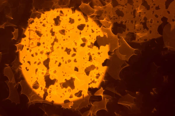 Soyut ışıklar, flash, gece şehir. yağmur damlaları