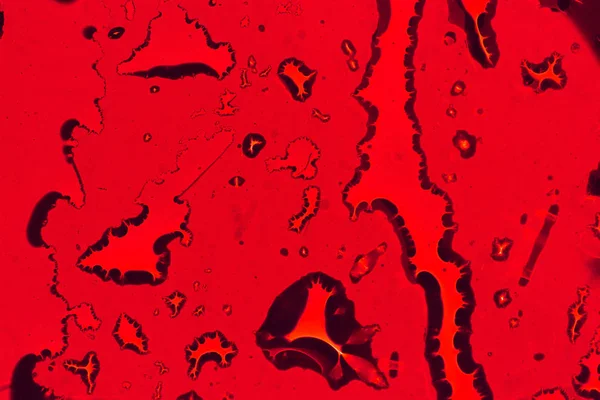 Sarı arka plan üzerinde su damlacıkları. arkadan aydınlatmalı