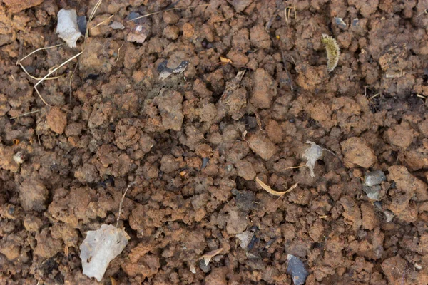 Sıcak güneşin arka plan olarak hafif toprak