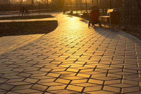 sarı günbatımı ışık bir parkta yol