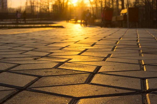 sarı günbatımı ışık bir parkta yol