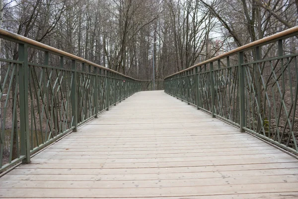 Yol lider içine puslu forrest. Moody park