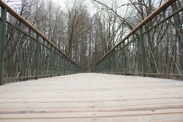 Yol lider içine puslu forrest. Moody park