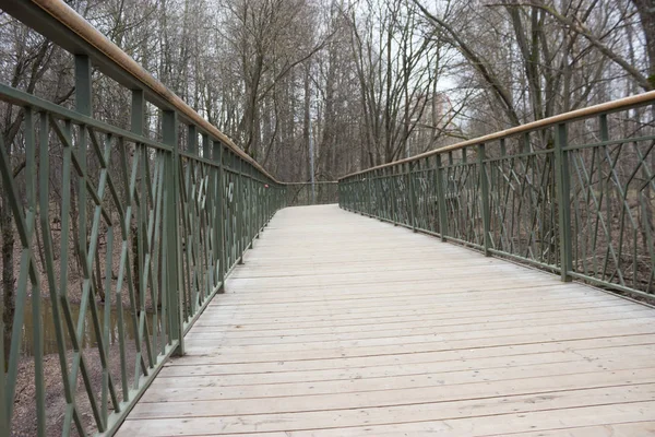 Yol lider içine puslu forrest. Moody park