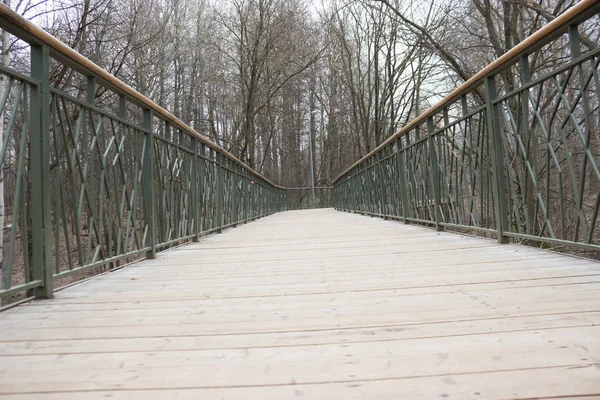 Yol lider içine puslu forrest. Moody park