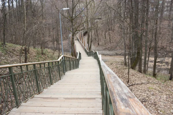 Yol lider içine puslu forrest. Moody park