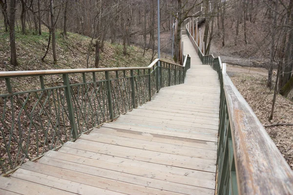 Yol lider içine puslu forrest. Moody park