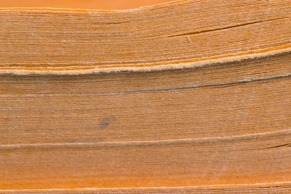 eski kitap sayfaları makro bir arka plan olarak