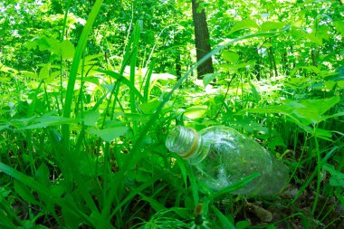 Güneşli bir günde yaz park. yeşil uzun otların