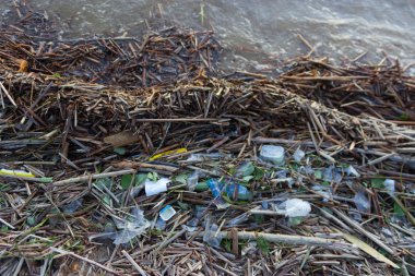 Plastik su şişeleri okyanus kirletmez. şişe üstünde belgili tanımlık fiyat