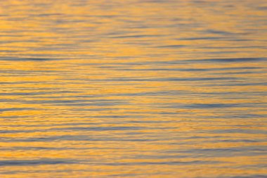 gün batımında su, bronz dalgaların yakın çekim doku