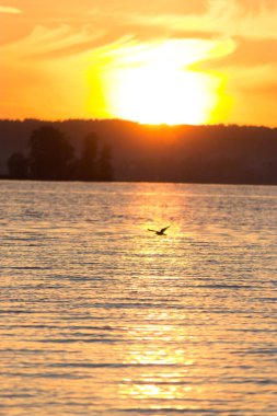 turuncu ve pembe renklerde deniz üzerinde güzel gün batımı