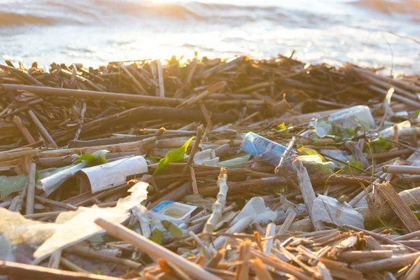 Plastic water bottles pollute ocean. bottle on the cost