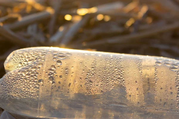 Πλαστικά Μπουκάλια Νερού Ρυπαίνουν Στον Ωκεανό Μπουκάλι Για Κόστος — Φωτογραφία Αρχείου