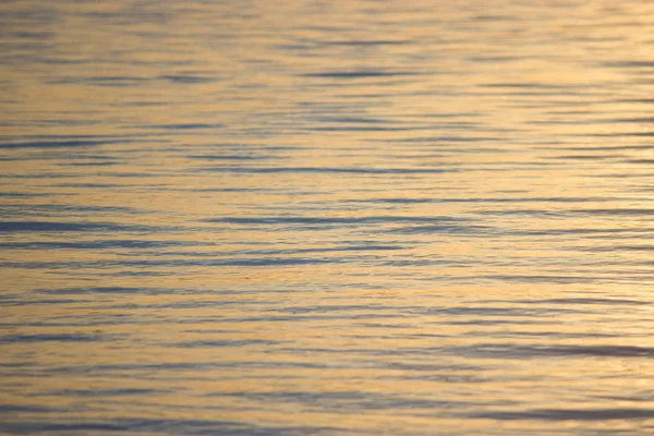 Крупним Планом Текстура Води Бронзові Хвилі Заході Сонця — стокове фото