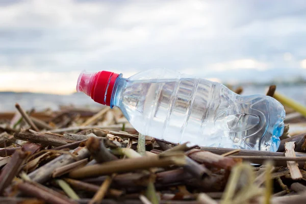 Plastic water bottles pollute ocean. bottle on the cost