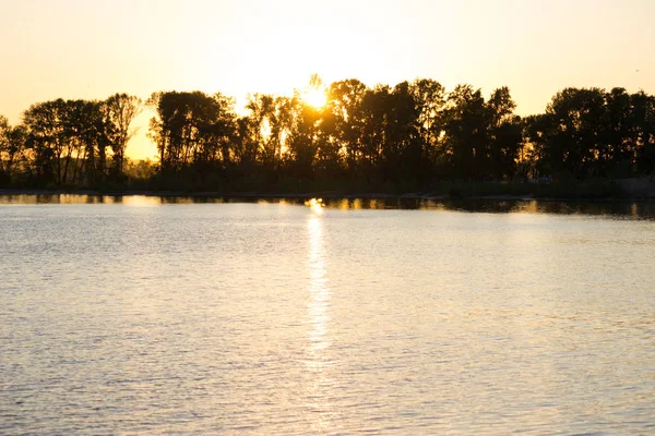 Güneş ışığına sahip bokeh yaprağı, arkaplan için sıcak ton rengi kullanımı