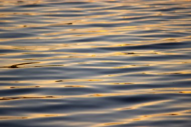 Nehir yüzeyinde ripples izole close-up