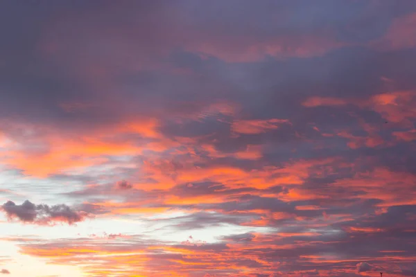 Hermoso Dramático Rosa Nubes Atardecer Fondo — Foto de Stock