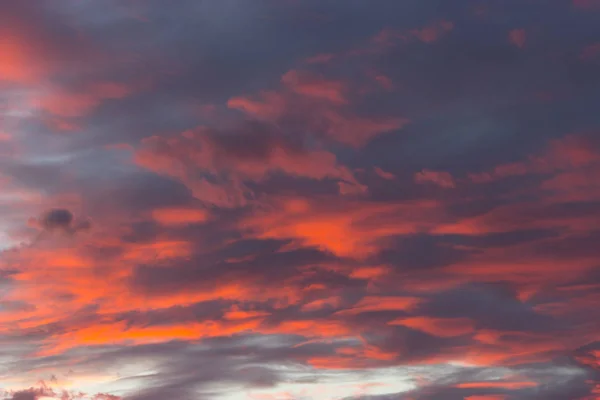 Hermoso Dramático Rosa Nubes Atardecer Fondo — Foto de Stock