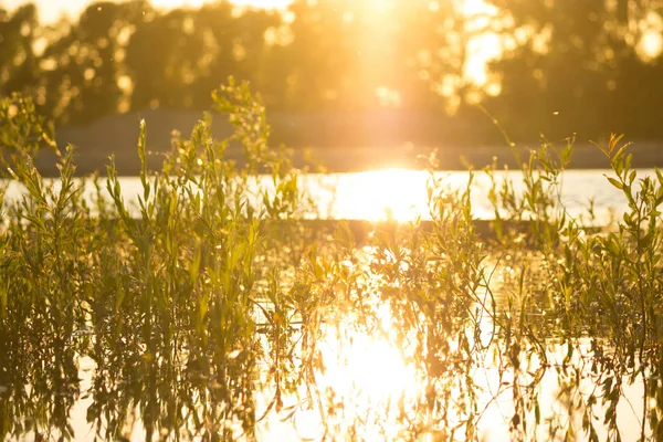 Flusslandschaft Und Warmes Sonnenlicht Sonnenuntergang — Stockfoto