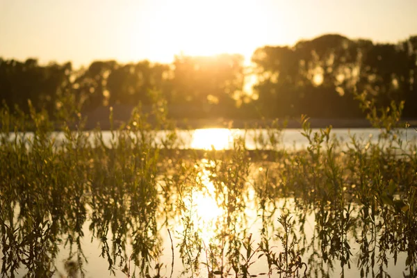 Flusslandschaft Und Warmes Sonnenlicht Sonnenuntergang — Stockfoto