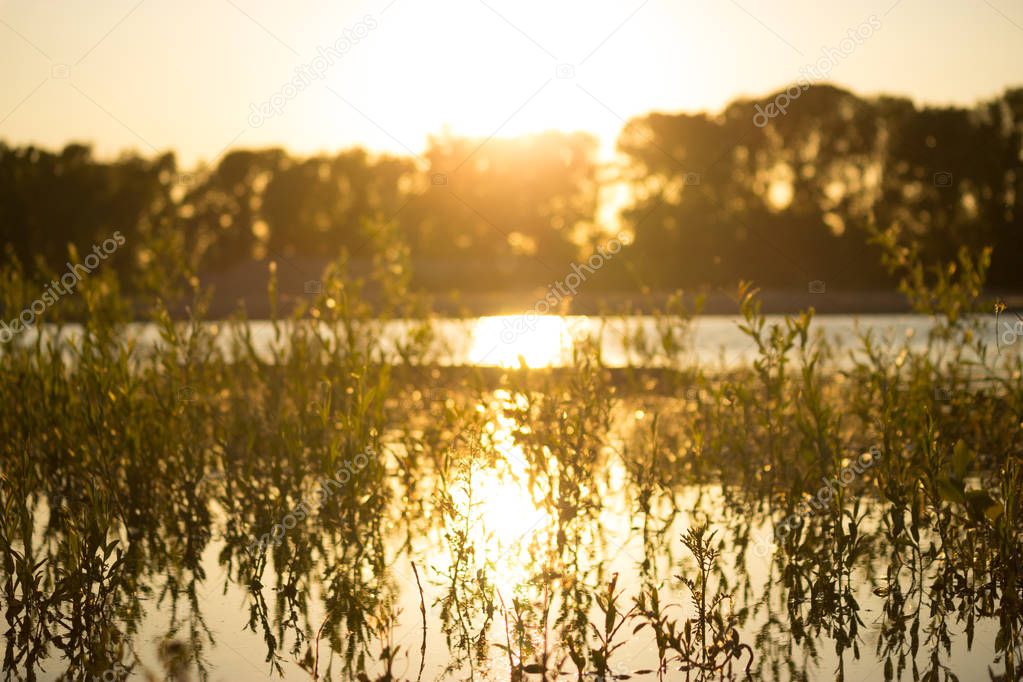 river landscape i a warm sunlight. sunset